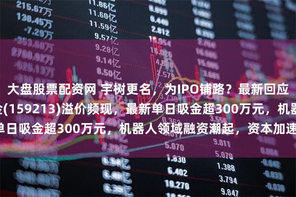 大盘股票配资网 宇树更名，为IPO铺路？最新回应来了！机器人ETF基金(159213)溢价频现，最新单日吸金超300万元，机器人领域融资潮起，资本加速入局！